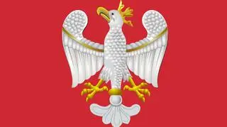 Orzeł podzielił polityków w sejmiku opolskim