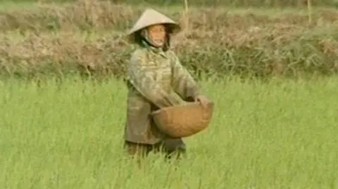 Arszenikowa bomba zegarowa