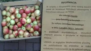Za dystrybucję jabłek odpowiedzialni są sołtysi