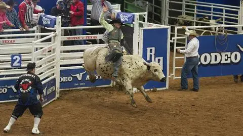 Kaczyński ogląda rodeo. Marszałek też, ale nie jest zwolennikiem
