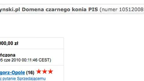 Domena jaroslawkaczynski.pl sprzedana za 100 tys. zł