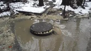 Urzędnicy szukają winnych 