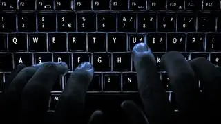 Mężczyzna oferty pracy zamieszczał w internecie