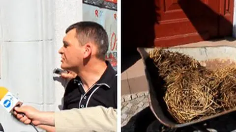 Gnojówka dla Kalisza. Symbol "zepsucia polskiej lewicy"