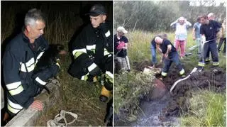 Każda akcja jest jak sprawdzian 
