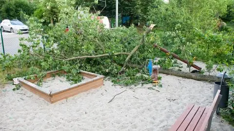 W Zielonej Górze konar spadł na plac zabaw