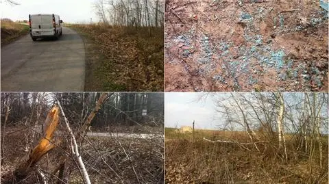 Znaleziono ciało nastolatki w przydrożnym rowie 