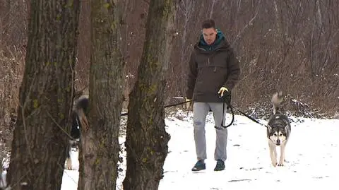 Pan Maurycy i jego Tajga - adoptowany malamut