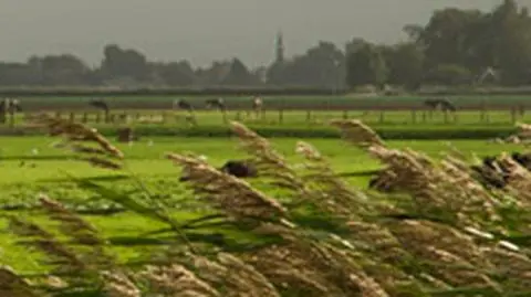 Kapryśny początek sierpnia