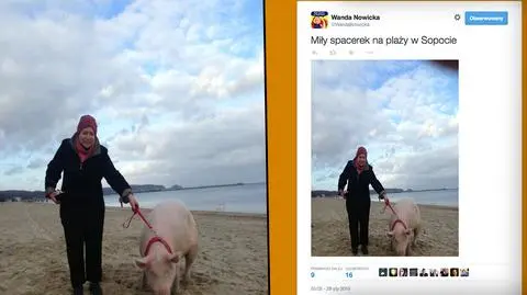 Nowicka spaceruje ze świnią na plaży