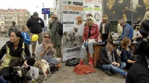 Happening dla dobra psów. Przykuli się łańcuchami do budy