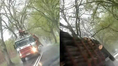 O krok od tragedii. Kłoda zleciała tuż przed samochodem