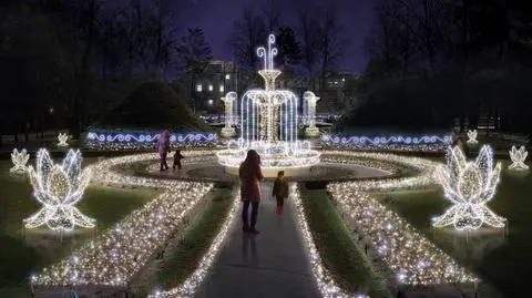 Gdańsk: Iluminacja Parku Oliwskiego w Gdańsku od połowy grudnia
