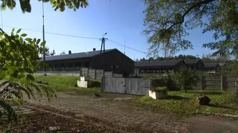 Właściciel fermy zapadł się pod ziemię 