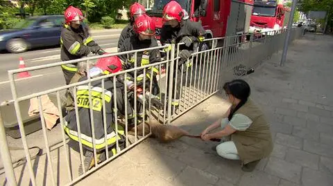 Do rozparcia prętów potrzebny był sprzęt hydrauliczny
