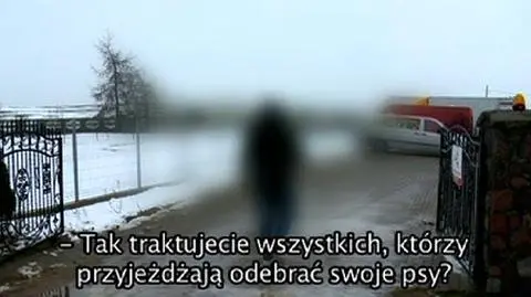 Łamanie praw zwierząt, bicie właścicieli. Schronisko działa mimo nieprawidłowości
