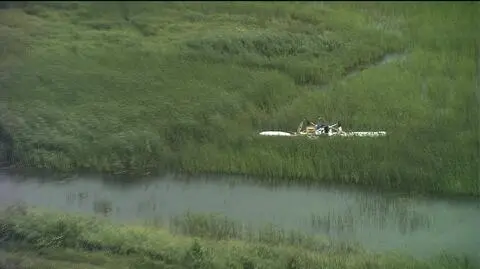 Samoloty zderzyły się w środę