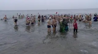 Morsy tradycyjnie wchodzą do wody w Nowy Rok 