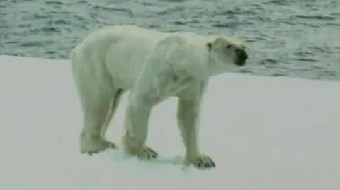 Światowi przywódcy będą rozmawiać w Nowym Jorku o zmianach klimatycznych