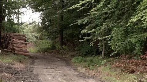 Dolny Śląsk: 59-latek w lesie czekał na karetkę. Zmarł