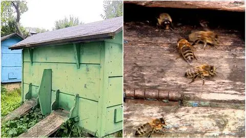 Pan Czesław już zapowiada apelację