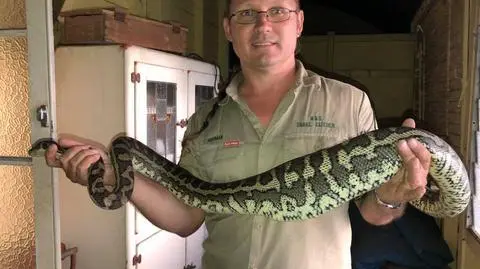 Australia. Pyton połknął kapeć