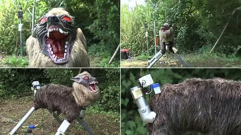 "Superpotworny wilk" w służbie rolnikom