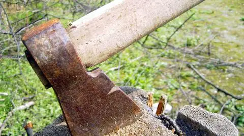 7-latek odrąbał siekierą palce swemu 13-miesięcznemu bratu