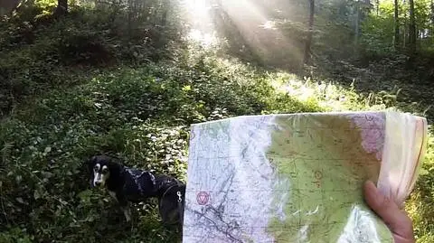 Pies-jeżynojad i jeżynowe pułapki. Mordercze 68 km w poszukiwaniu zaginionych dróg