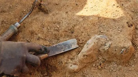 Intratne przekręty miały przynosić korzyści przez lat