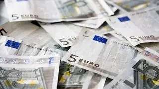 Przyjęcie euro może utrudnić rządowi walkę z recesją - twierdzi "Washington Post"