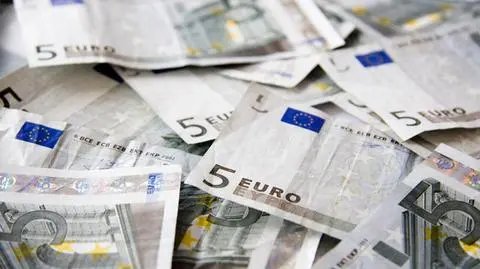 "Washington Post" dziwi się Polsce. "Dlaczego chce przyjąć euro?"