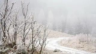 Lokalnie spadnie deszcz ze śniegiem