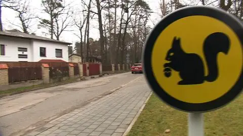 Nowe znaki w Podkowie Leśnej 