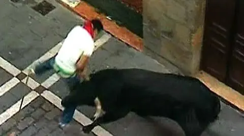 Byk ciężko ranił Polaka