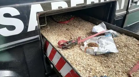 Dolny Śląsk. W lesie znalazł granat, przyniósł go policjantom