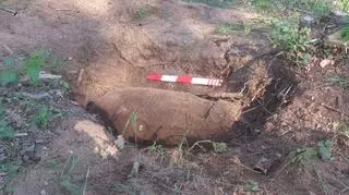 Lasy będą przeszukiwane do końca czerwca