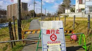 Do katastrofy w Fukushimie doszło w 2011 roku