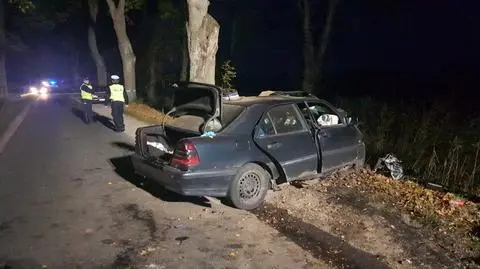 Mercedes uderzył czołowo w drzewo