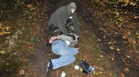 Dilerzy złapani w lesie
