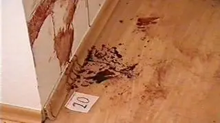 Plamy krwi znalezione w domu Krzysztofa Olewnika