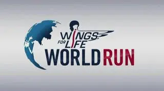 Logo Wings For Life
