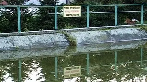 Sześciolatek utonął w basenie