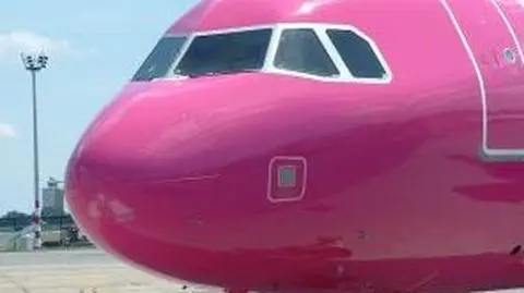 Ptak zatrzymał samolot 
Wizz Air