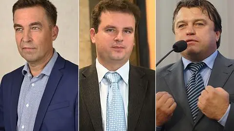 Wybory parlamentarne 2015.
