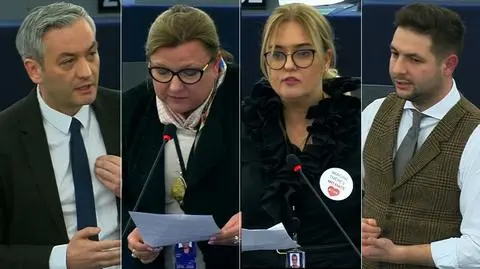 Polish MEPs from various factions took part in the debate 