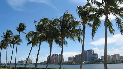 Vladimir Putin aresztowany na Florydzie