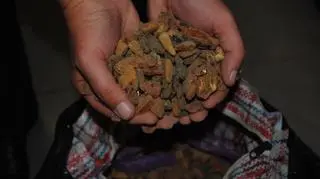 To rekordowy przemyt bursztynu 