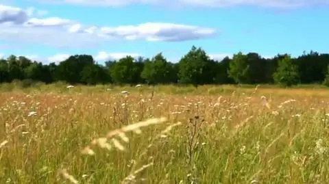 Reklama Poczty Polskiej, komentarze internautów i słowa rzeczniczki