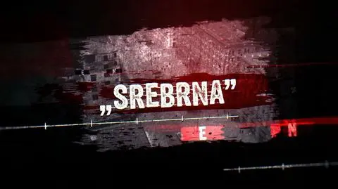 Historia Srebrnej